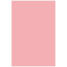 Папір кольоровий гладкий Rainbow 230г R55 рожевий, 10 аркушів A3