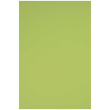 Папір кольоровий гладкий Rainbow 230г R74 світло-зелений, 10 аркушів A3