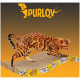 Дряпка (кігтеточка) Purlov 23,5х43х7 см гофрокартон (5902802921567)