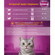 Сухий корм для дорослих котів Whiskas з куркою 14 кг (5900951014352)