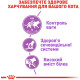 Сухий корм для дорослих стерилізованих котів Royal Canin Sterilised 10 кг (3182550737623)