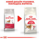 Сухий корм для домашніх та вуличних котів Royal Canin Fit 10 кг (3182550702249)
