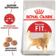 Сухий корм для домашніх та вуличних котів Royal Canin Fit 10 кг (3182550702249)