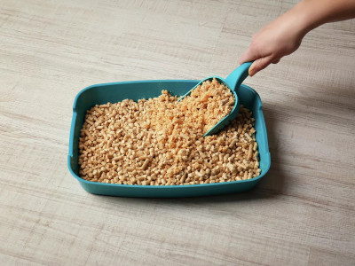 На скільки вистачає котячого наповнювача